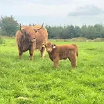 Bockagh Farm Шале