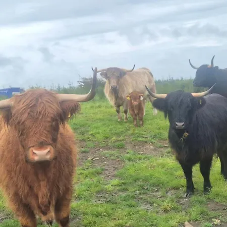 Bockagh Farm Chalet Ballaghaderreen