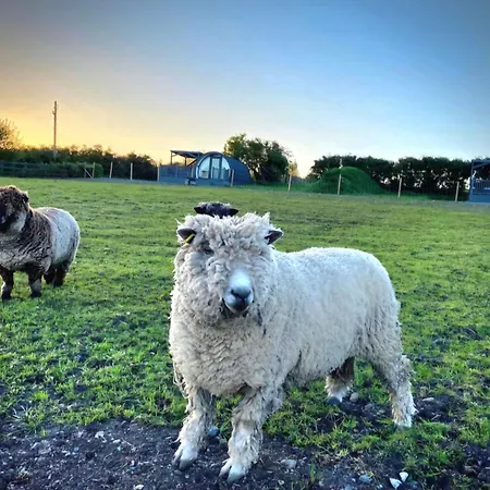 Bockagh Farm *
