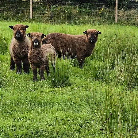 Chalet Bockagh Farm *
