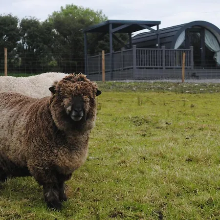 בקתה Bockagh Farm Ballaghaderreen