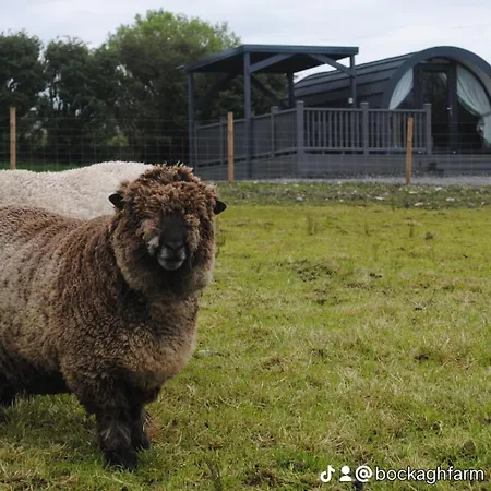 Bockagh Farm *