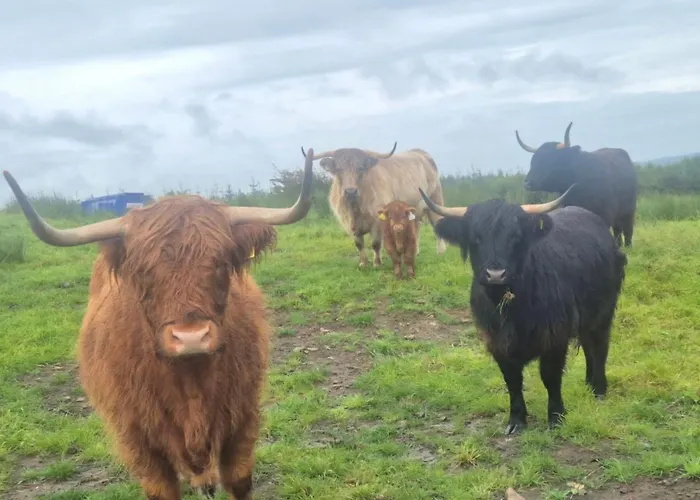 Bockagh Farm Chalet Ballaghaderreen
