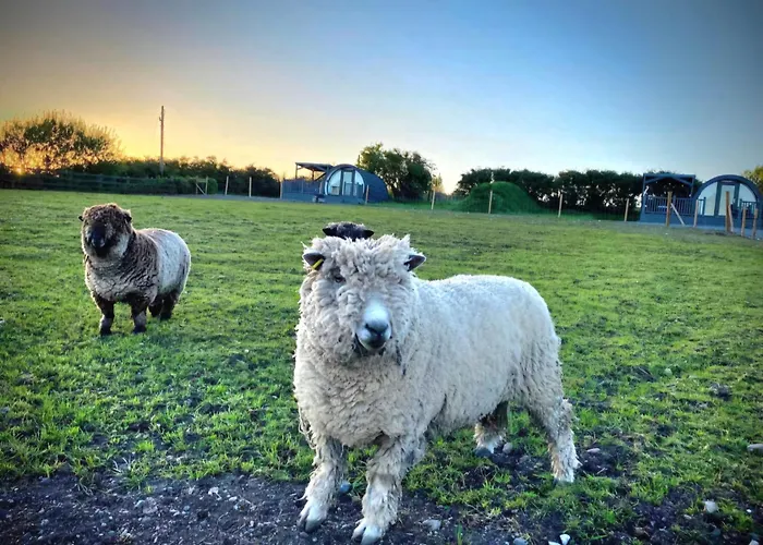 Bockagh Farm *