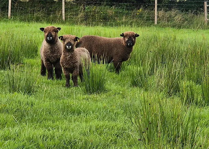 샬레 Bockagh Farm *