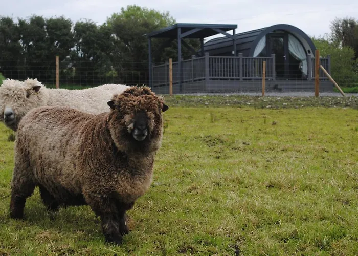 Chalet Bockagh Farm Ballaghaderreen